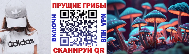 Галлюциногенные грибы прущие грибы Почеп